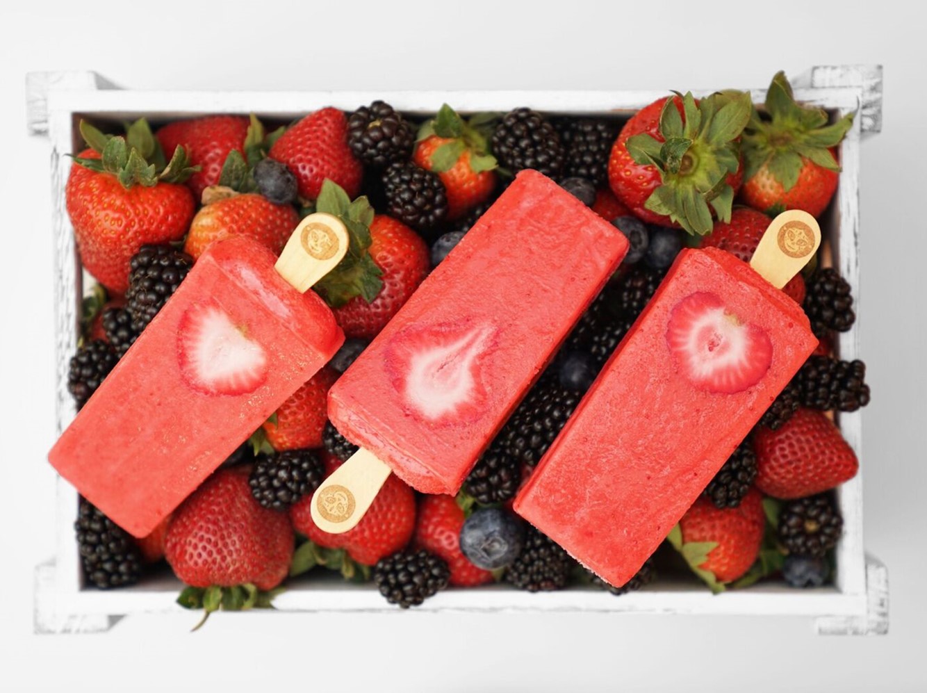 Morelia Gourmet Handcrafted Paletas IcePops